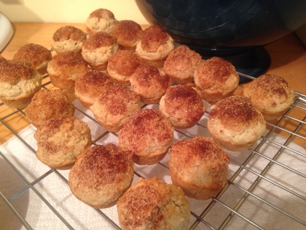 TEST: Old Fashioned Cake Doughnut&nbsp;Mini-Muffins
