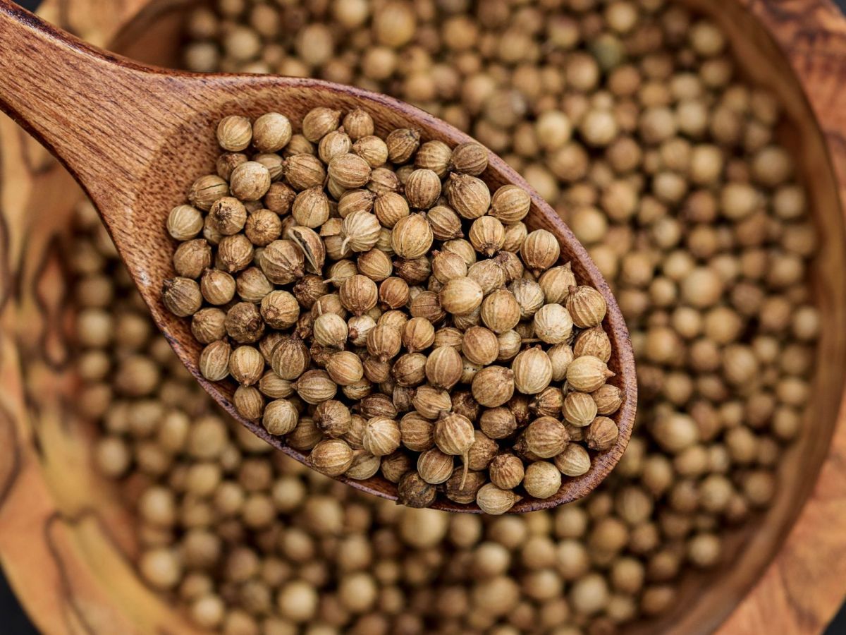 Spice Saturday: Coriander